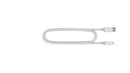 Bose SoundLink Revolve+ II Silver